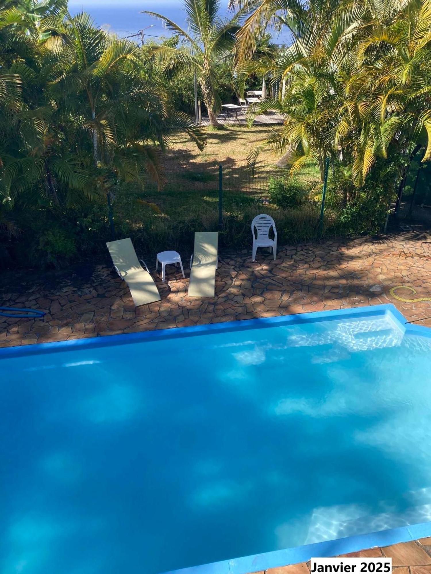 Les Bungalows Les Vanilliers, Sud Sauvage Avec Piscine 圣若瑟 外观 照片