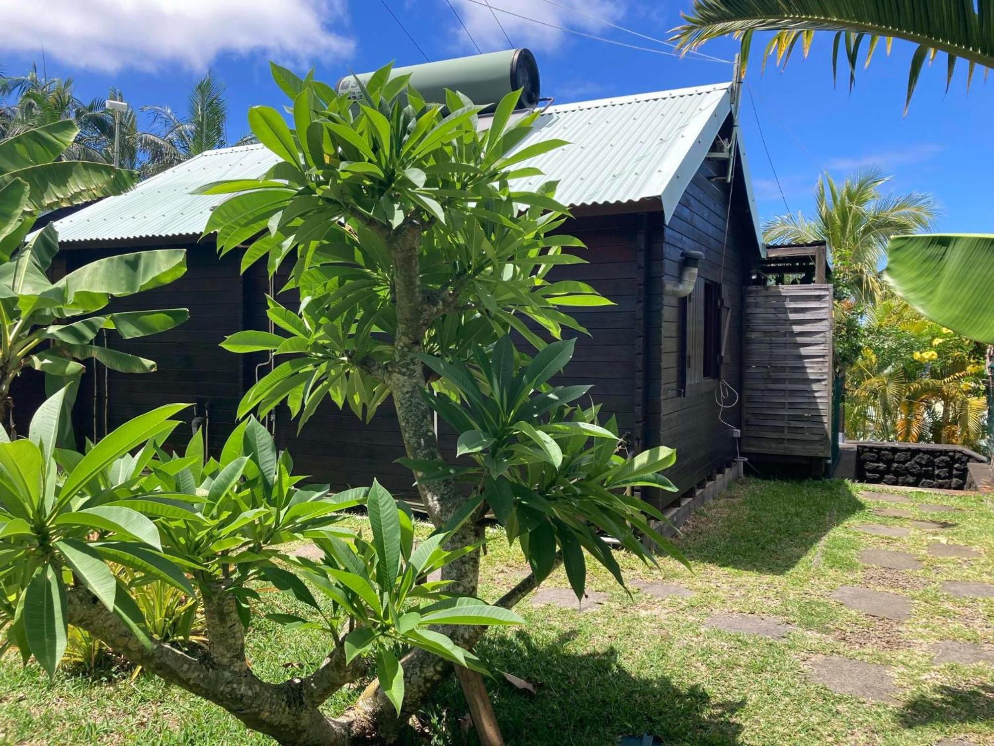 Les Bungalows Les Vanilliers, Sud Sauvage Avec Piscine 圣若瑟 外观 照片