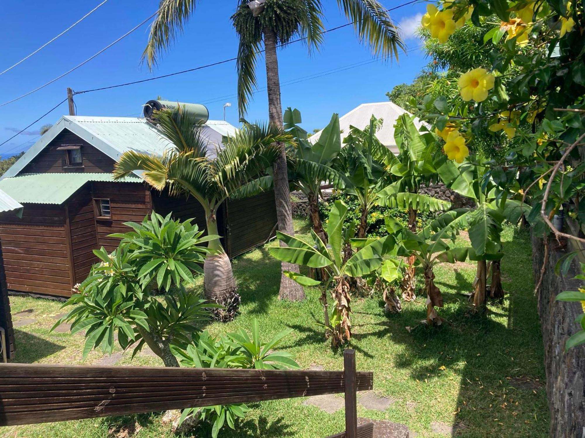 Les Bungalows Les Vanilliers, Sud Sauvage Avec Piscine 圣若瑟 外观 照片