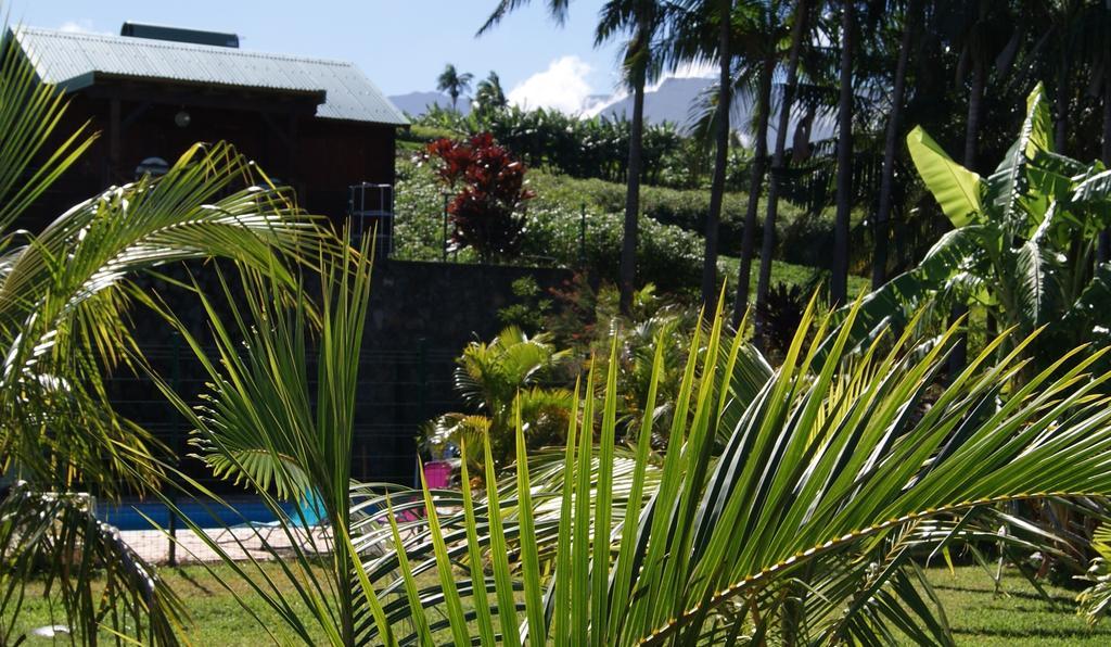 Les Bungalows Les Vanilliers, Sud Sauvage Avec Piscine 圣若瑟 外观 照片