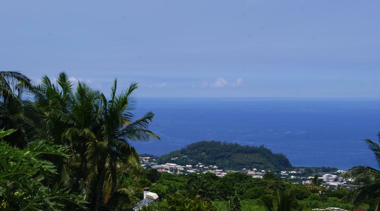 Les Bungalows Les Vanilliers, Sud Sauvage Avec Piscine 圣若瑟 外观 照片