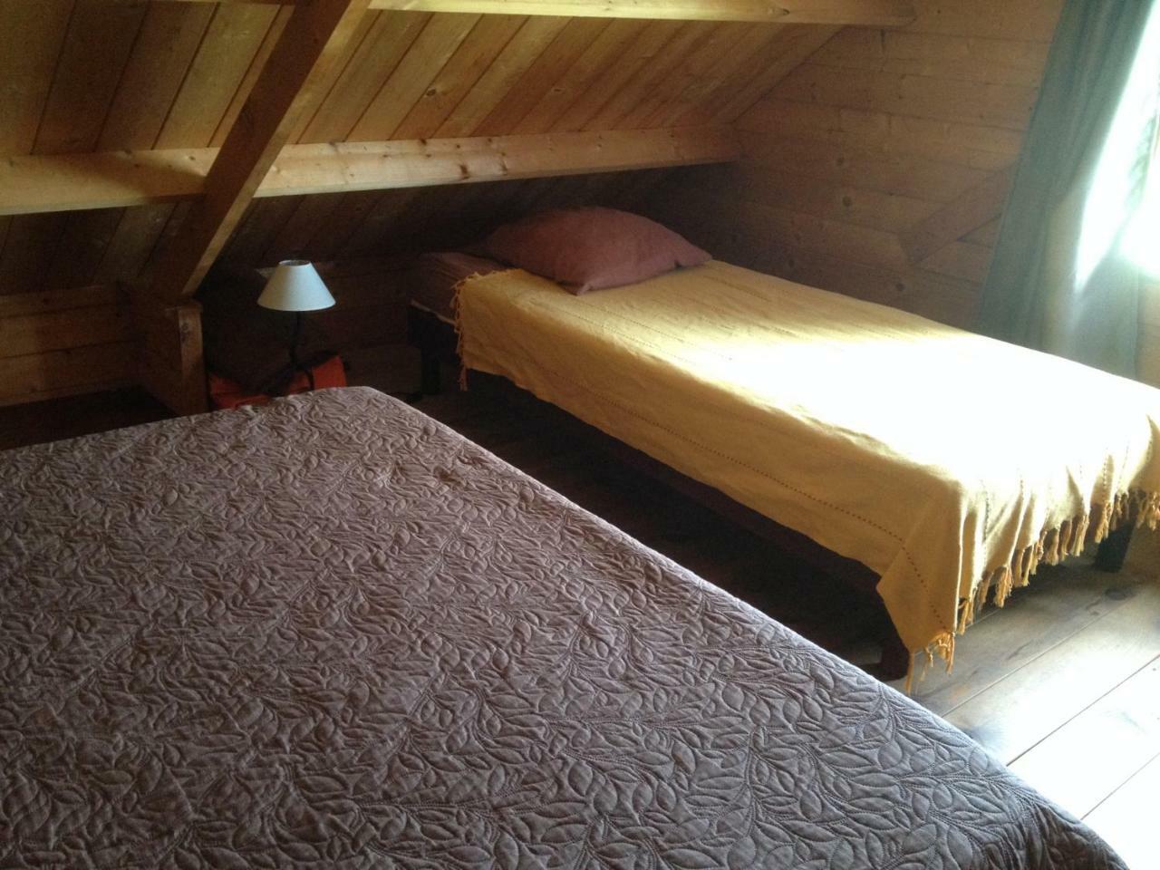 Les Bungalows Les Vanilliers, Sud Sauvage Avec Piscine 圣若瑟 外观 照片