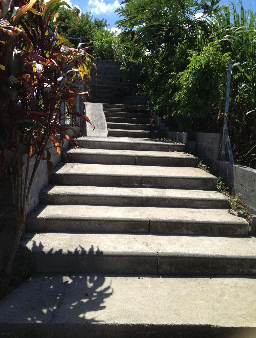 Les Bungalows Les Vanilliers, Sud Sauvage Avec Piscine 圣若瑟 外观 照片