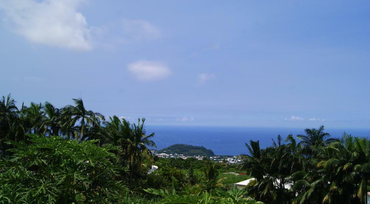 Les Bungalows Les Vanilliers, Sud Sauvage Avec Piscine 圣若瑟 外观 照片